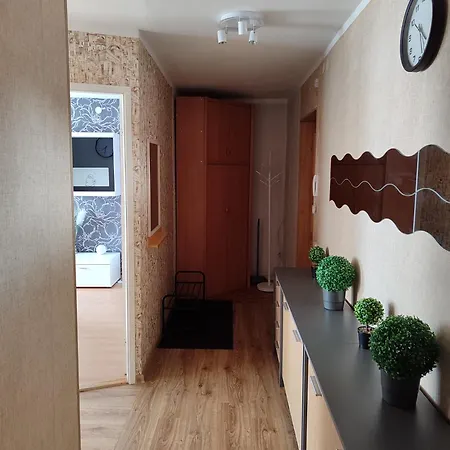 Апартаменты Sofi 2-комнатный